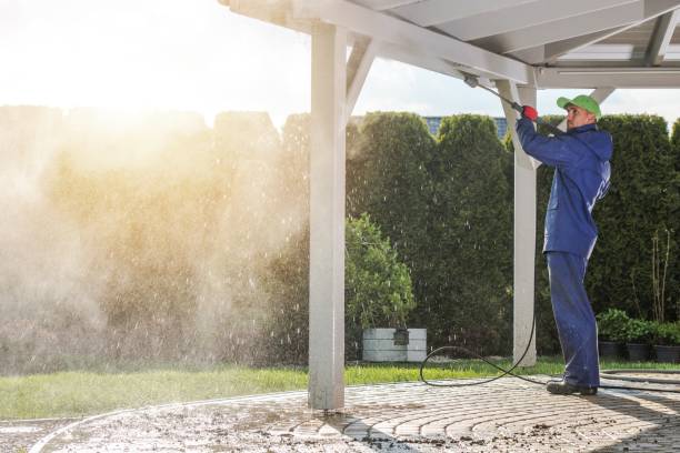 Best Solar Panel Cleaning  in Eslon, CA