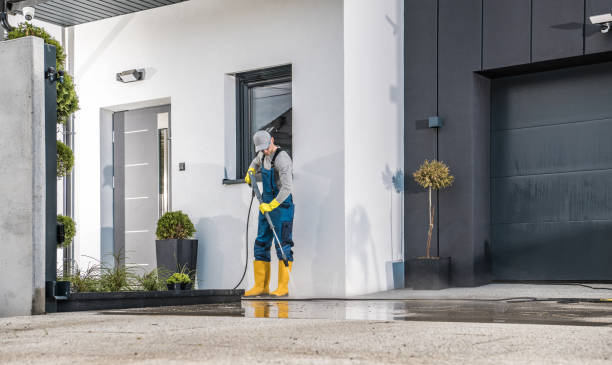 Best Dumpster Area Cleaning  in Eslon, CA